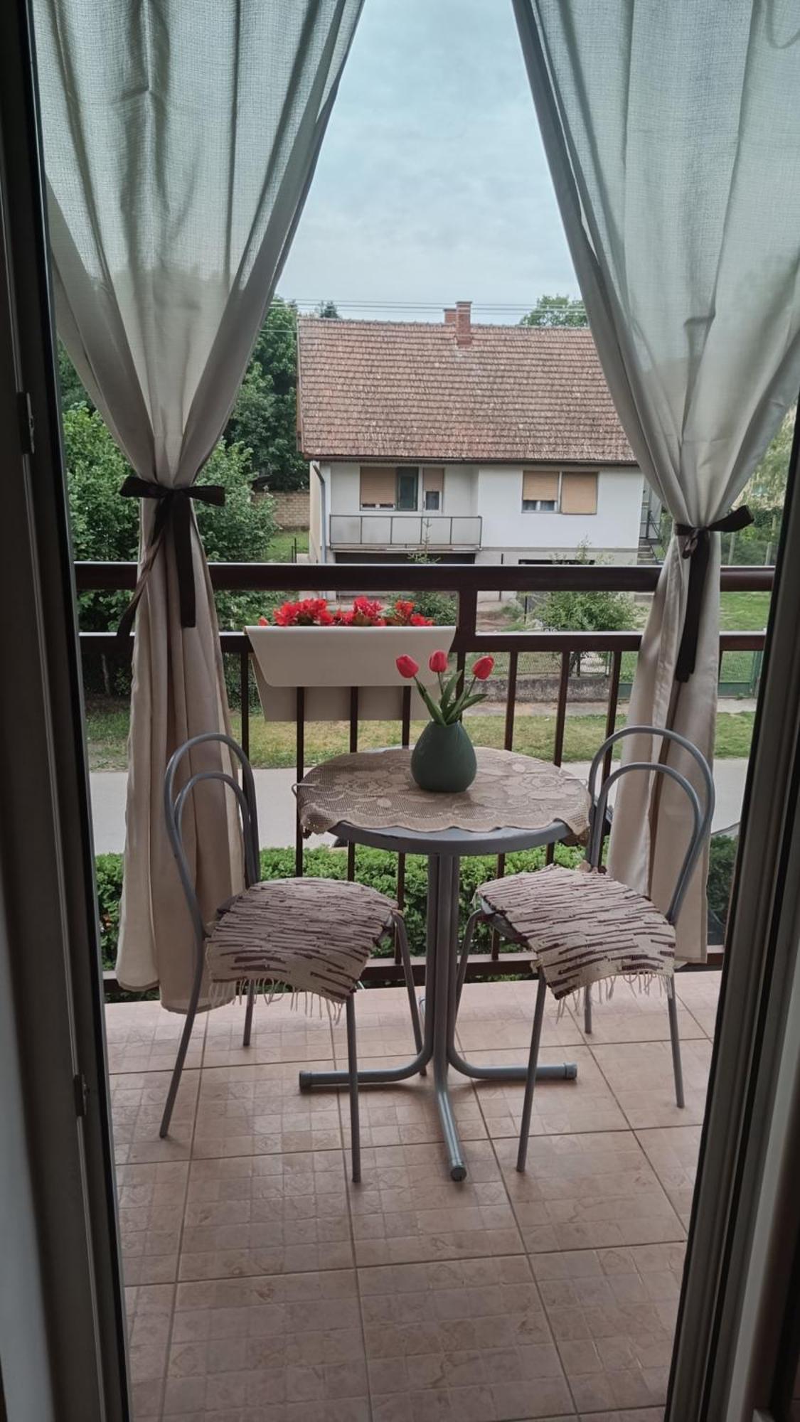 Dora Apartman Palić Esterno foto