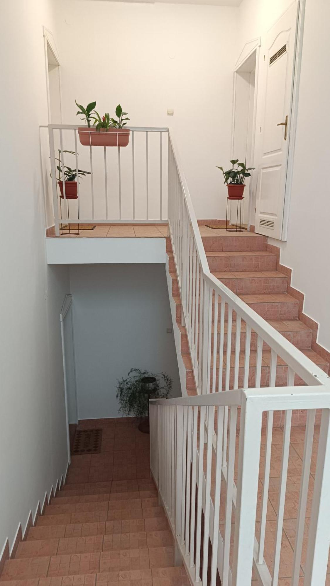 Dora Apartman Palić Esterno foto